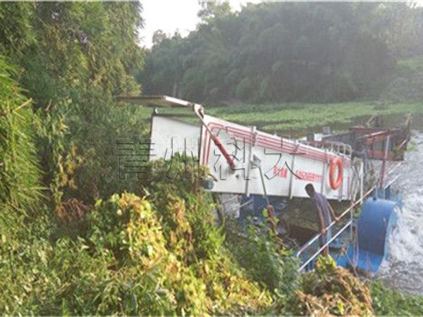 四川瀘州水葫蘆打撈船工作現(xiàn)場.jpg
